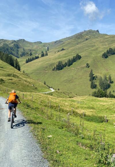 Kurz führt uns der Güterweg hinunter zu den Raintalalmen.