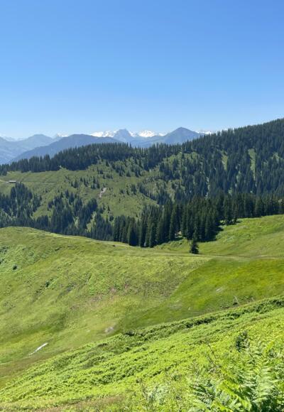 Über die saftigen Bergwiesen blickt man hinüber bis zu den vergletscherten 3000er der Hohen Tauern.