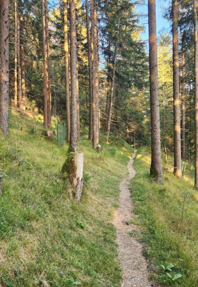 Vilsspaziergang