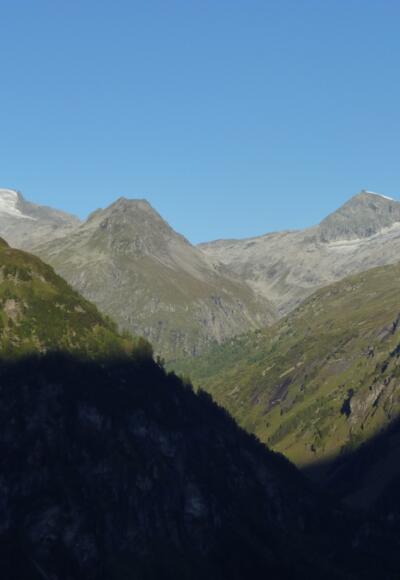 Venediger und Plattiger Habach im Morgenlicht