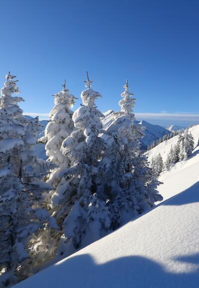 Winterlandschaft