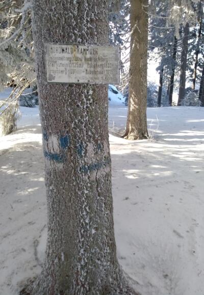 Hochficht, Nordwaldkammweg Nähe Stinglfelsen