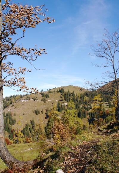 Weg über der Kreuzangeralm