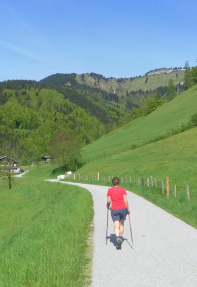 Waldrückren zum Ahornbüchsenkopf links der Roßfeldstraße