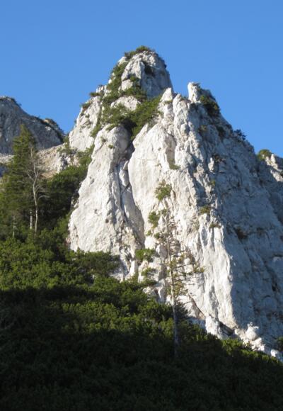 Alter Fritz - Klettergarten an der Barthlmahd Hochstaufen Südseite