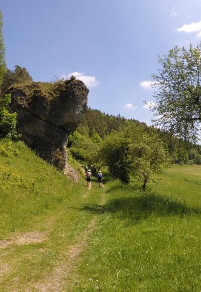 Idyllischer Wanderweg hinter Oberailsfeld