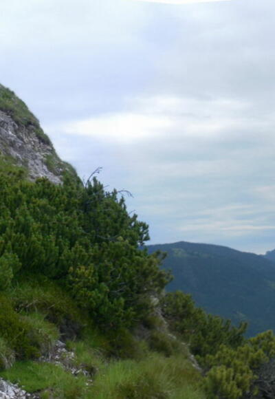 Gipfelflanke, Zwiesel und Staufen
