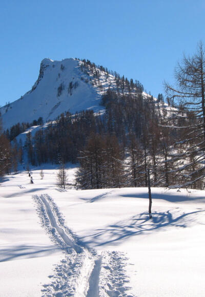 Gipfel Hochwieskopf