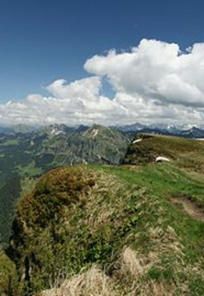 Hoher Freschen Panorama