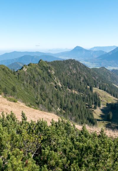 Auf den letzten Metern zum Hochfelln: Blick zurück zum Grat vom Strohnschneid. Rechts unten das Tal, durch das der normale Aufstiegsweg über die Fellnalm heraufzieht.