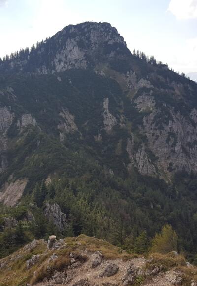 Spitzstein vom Brandelberg