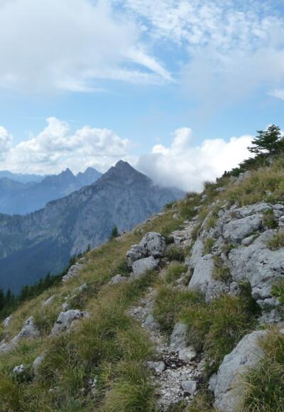 Hoher Straußberg , die letzten Meter zum Gipfel