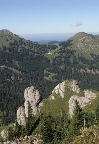 Blick auf die Nagelfluhkette.