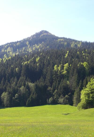 Hochschergenblick