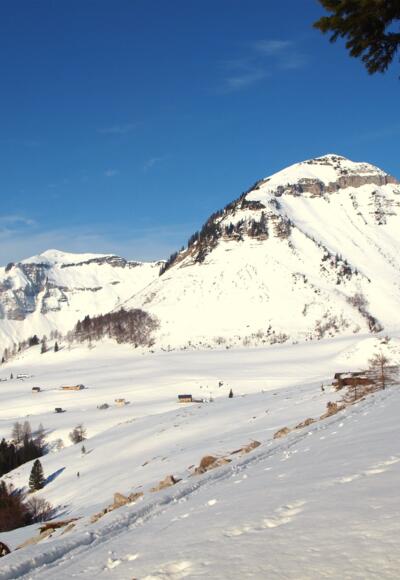 Plateauquerung um 1330m, Blick zum Gennerhorn.