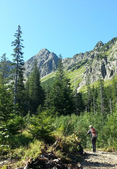 kurz vor dem Häbelesgund, im Hintergrund der Rotspitz