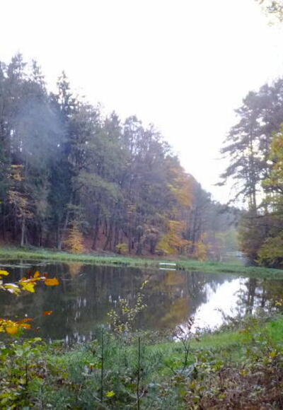 Wanderung vor Birnbaum