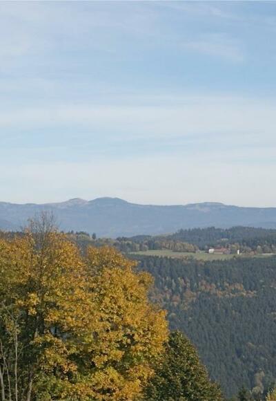 Fernsicht von Riedelswald