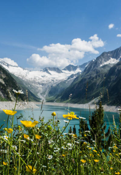 Blick auf den Schlegeis Stausee