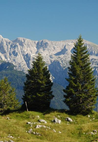 Blick vom Bannkopf zum Hohen Göll