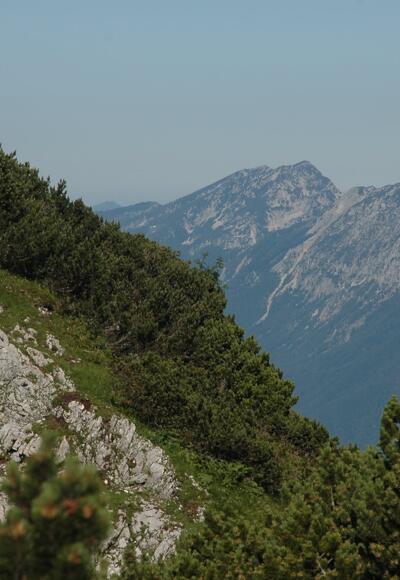 Hochstaufen und Zwiesel von der Mittagsscharte