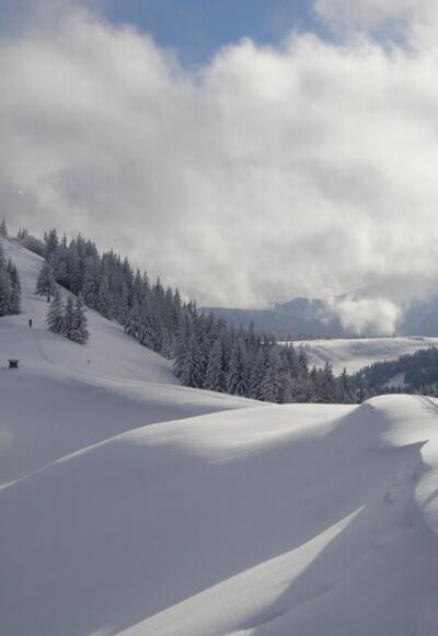 Der Übergang zur Pillsteinhöhe (18.12.2010)