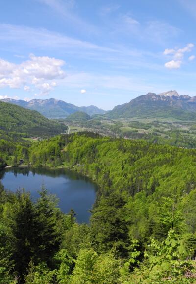 Mitten im Wald am Fuße der Katrin liegt der Nussensee.