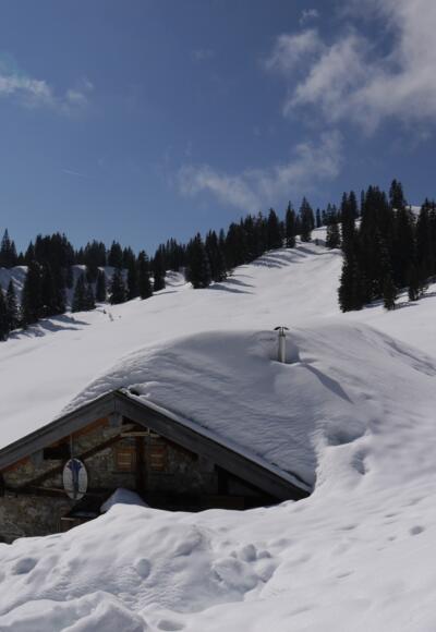Bayerische Wildalm - tief verschneit