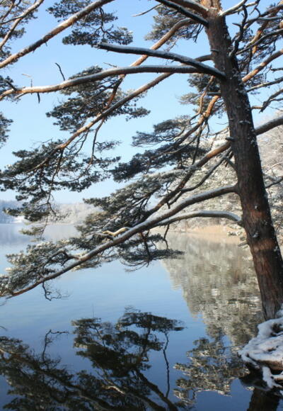 Die Osterseen sind nicht nur im Sommer ein lohnendes Ziel.