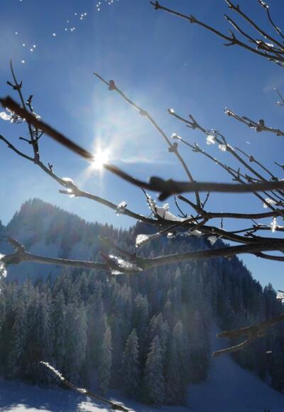 Blick von den Laubensteinalmen zum Heuraffelkopf
