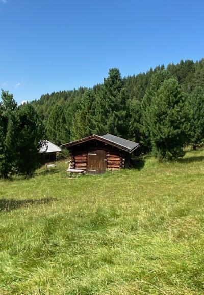 Die sonnenverbrannten und idyllischen Heustadln inmitten von Zirben und Bergwiesen bei den Issmähdern.