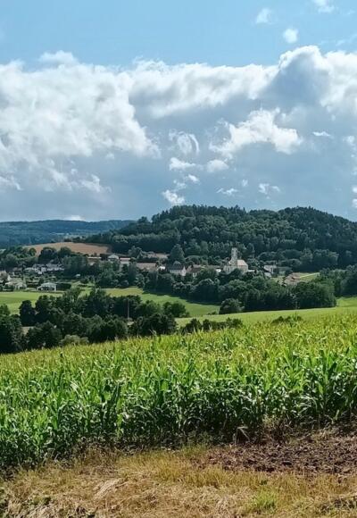 Blick nach Wetzelsberg