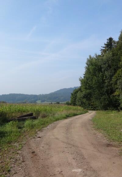 Blick Richtung Haunkenzell