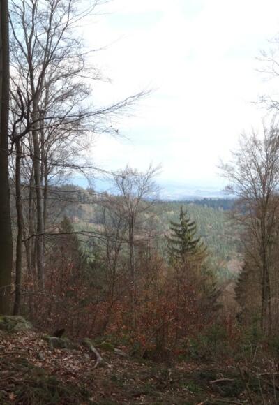 Blick in den Gäuboden