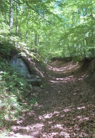Hohlweg mit Keller