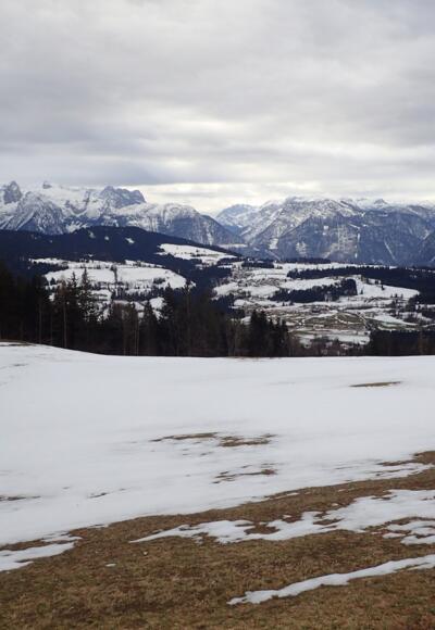 Oberhalb vom Wurzerbauer