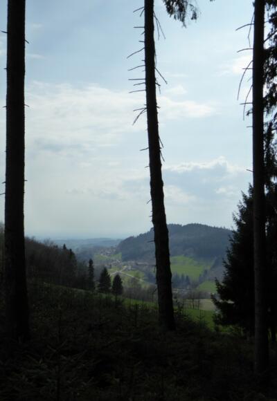 Blick nach Mühlbogen