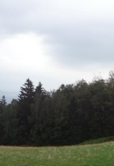 Blick von der Rusel