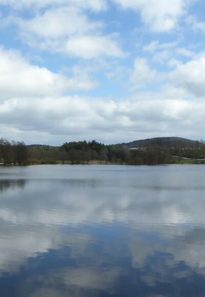 Blick auf den Neuweiher