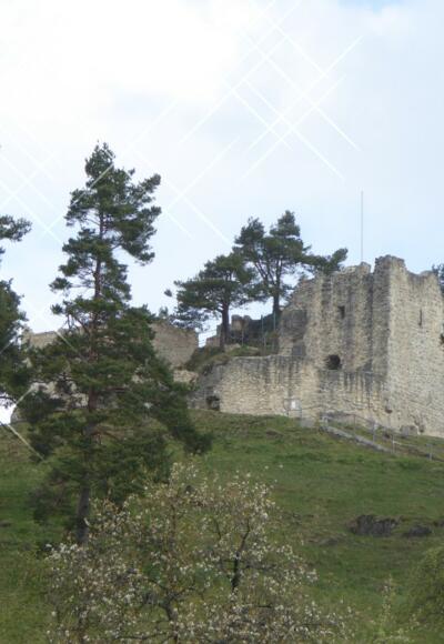 Blick auf die Ruine Lichtenegg
