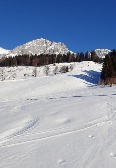 Start oberhalb der B 164