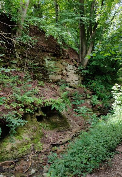 Altenthann - Thanngraben