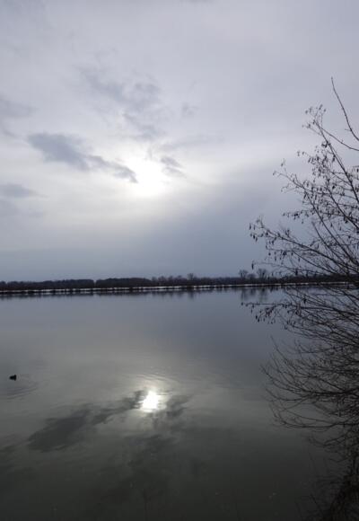 Sonne und die Donau