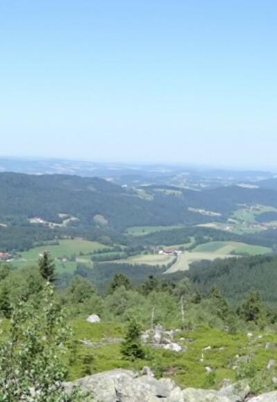 Blick von der Käsplatte