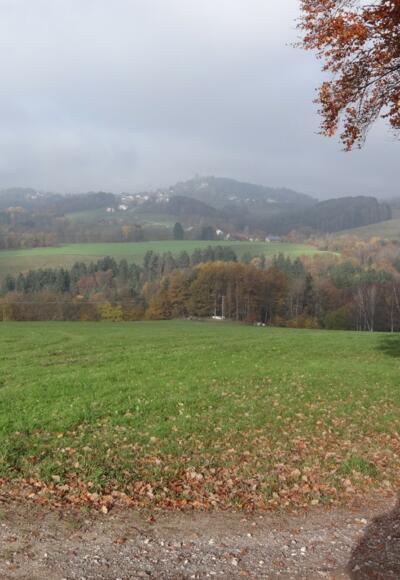 Blick vom Leibelberg nach Brennberg