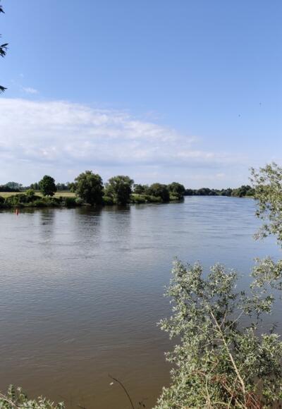 Donau bei Reibersdorf