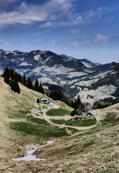 Seelacher-Alm im Hintergrund links der Wendelstein
