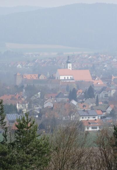 Blick auf Neunburg