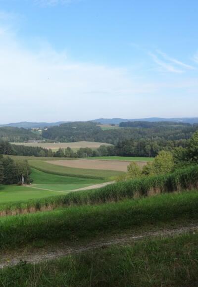 kurz vor Wilchenreuth