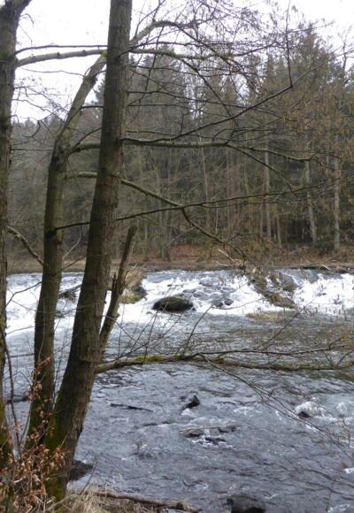 "Wasserfall" an der Schwarzach